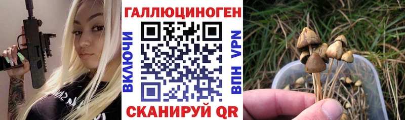 Псилоцибиновые грибы Psilocybine cubensis кракен как зайти Изобильный